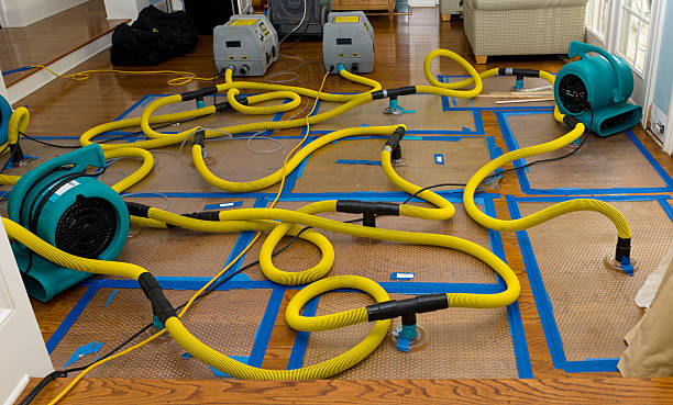 Professional Basement Flood Cleanup technician working in Laguna Beach, CA